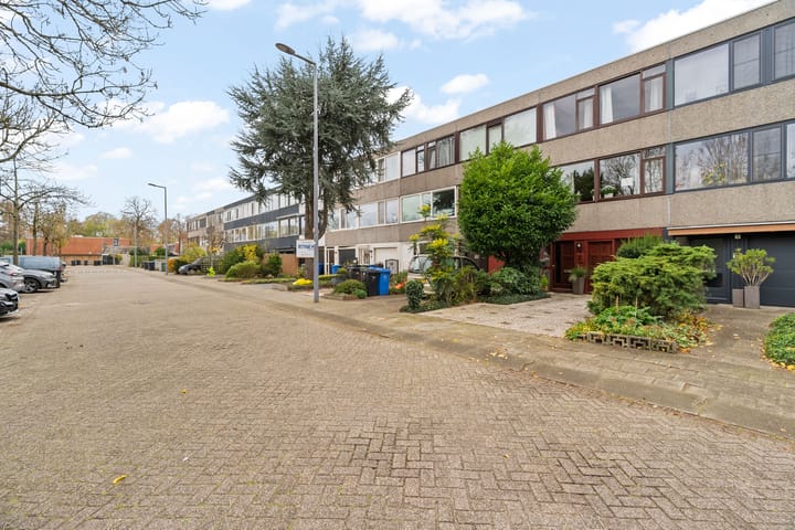 Foto 5 van Akkerdistel 5