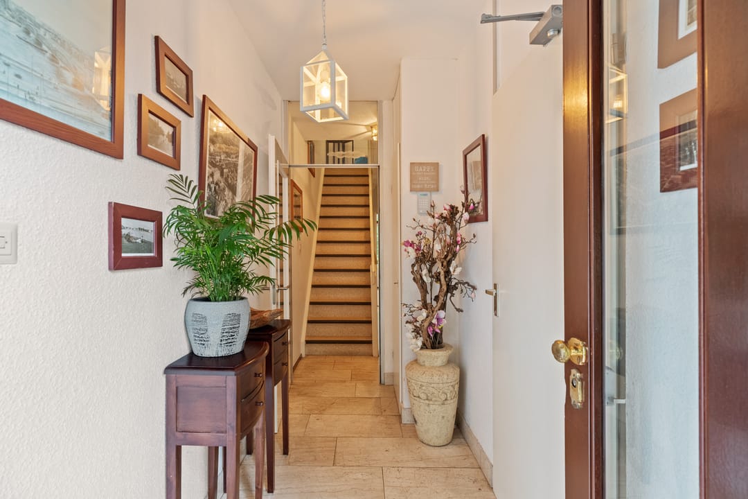 Photo 13 of Akkerdistel 5