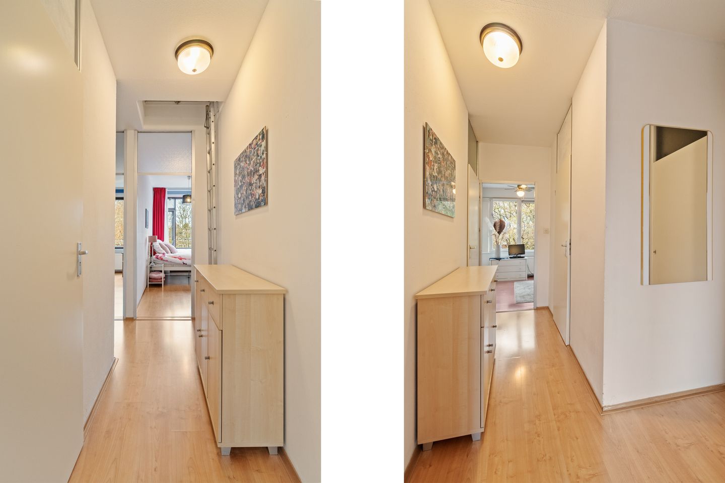 Photo 14 of Akkerdistel 5