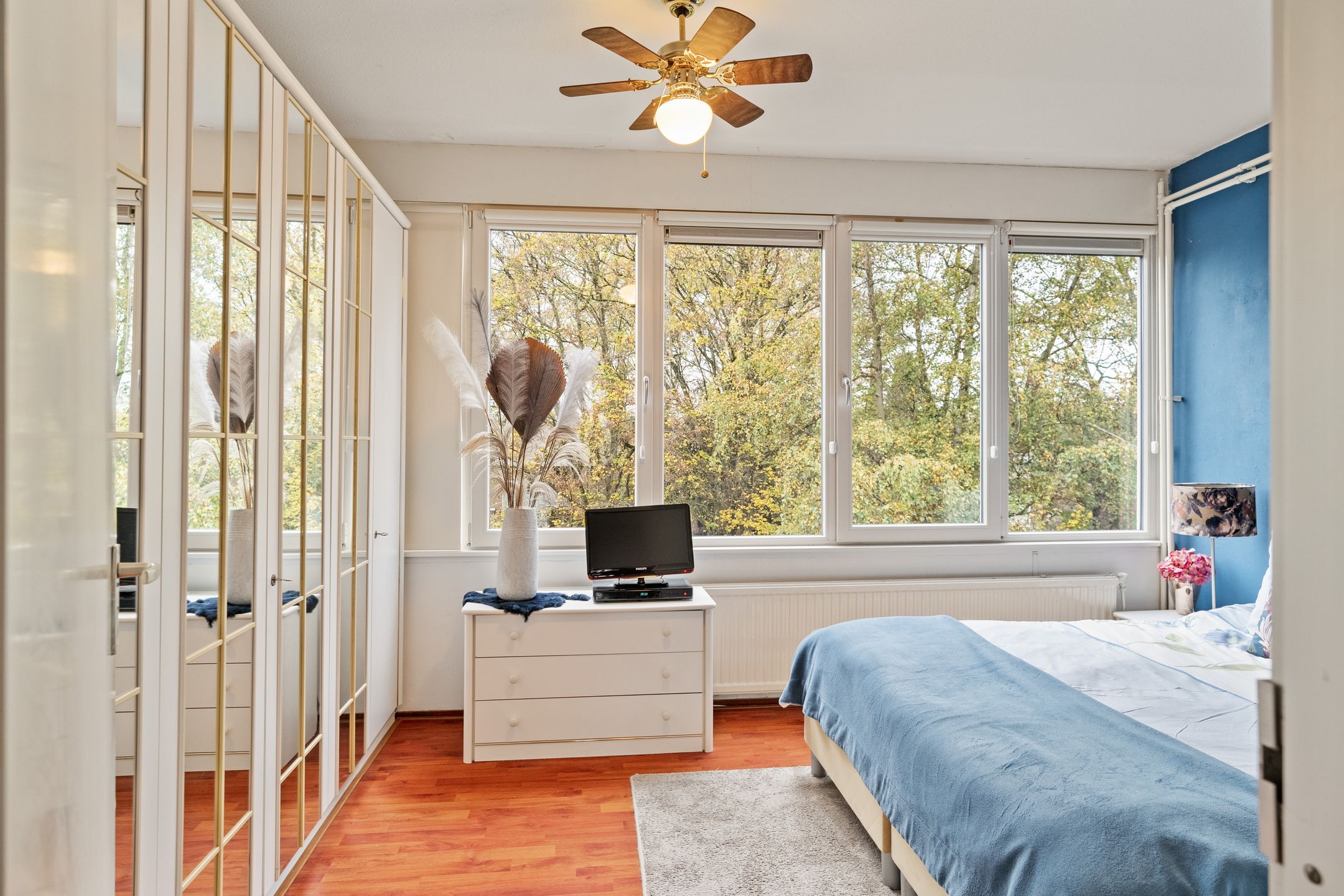 Photo 15 of Akkerdistel 5