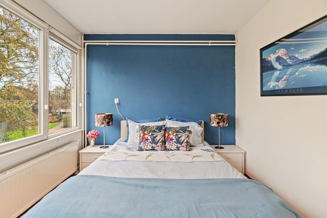 Photo 16 of Akkerdistel 5