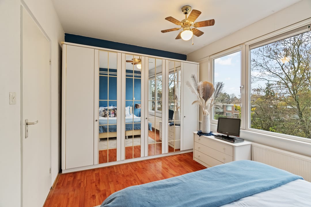 Photo 17 of Akkerdistel 5