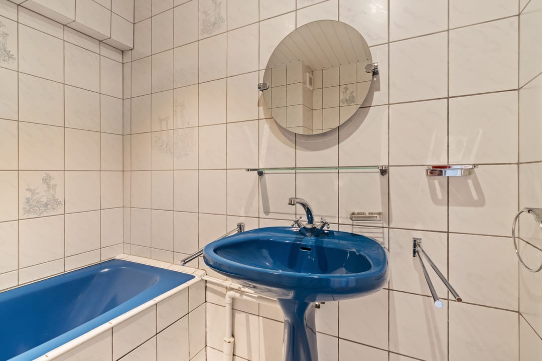 Photo 22 of Akkerdistel 5