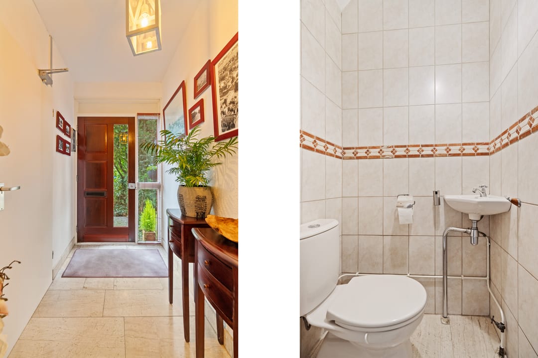 Photo 23 of Akkerdistel 5