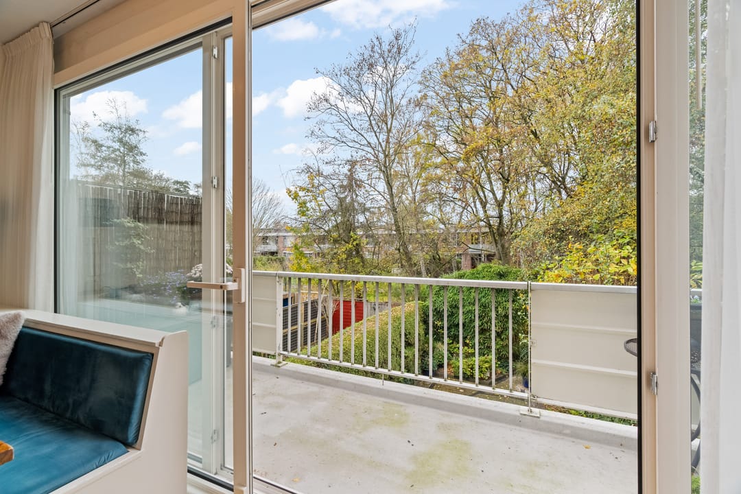 Photo 26 of Akkerdistel 5