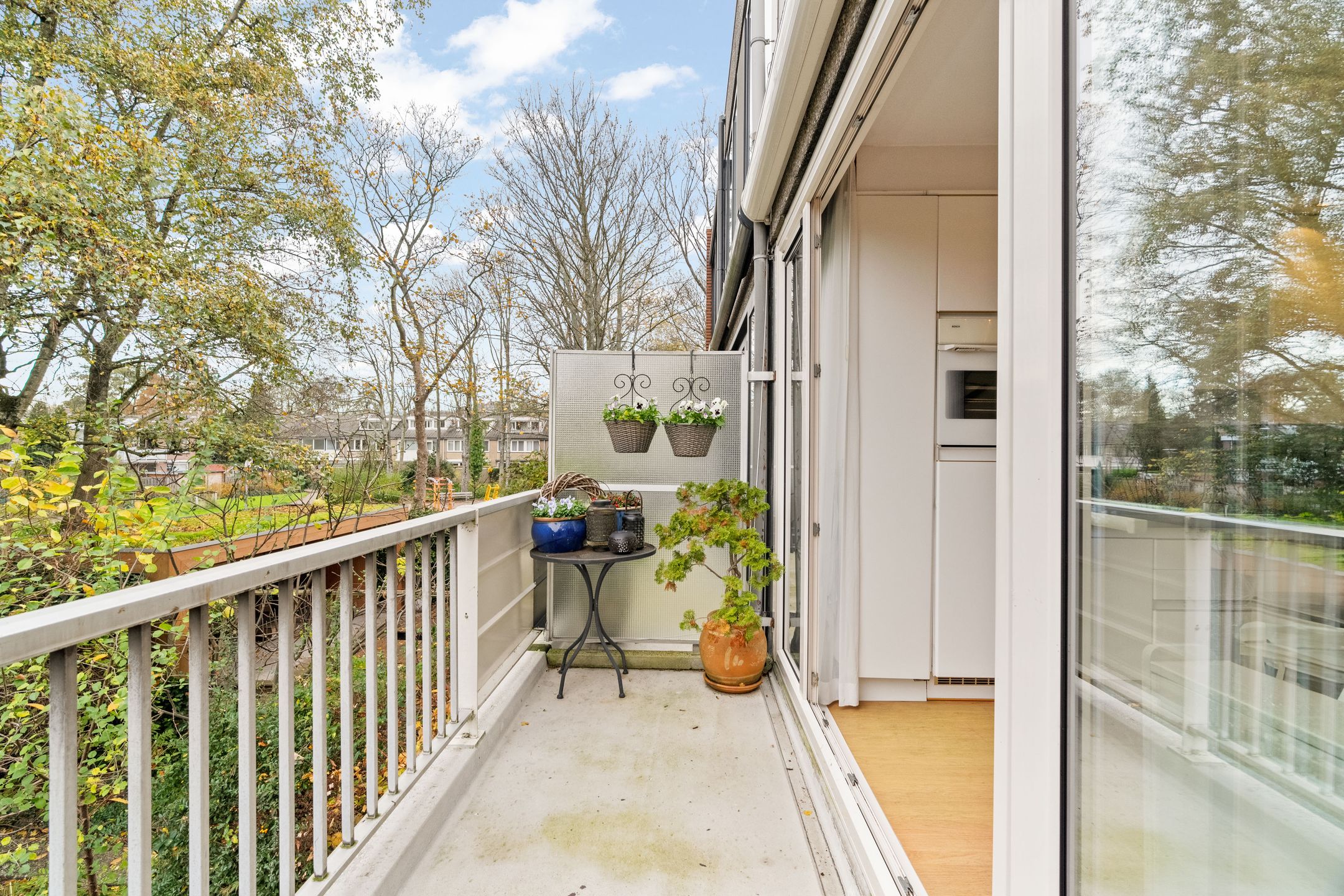 Photo 27 of Akkerdistel 5