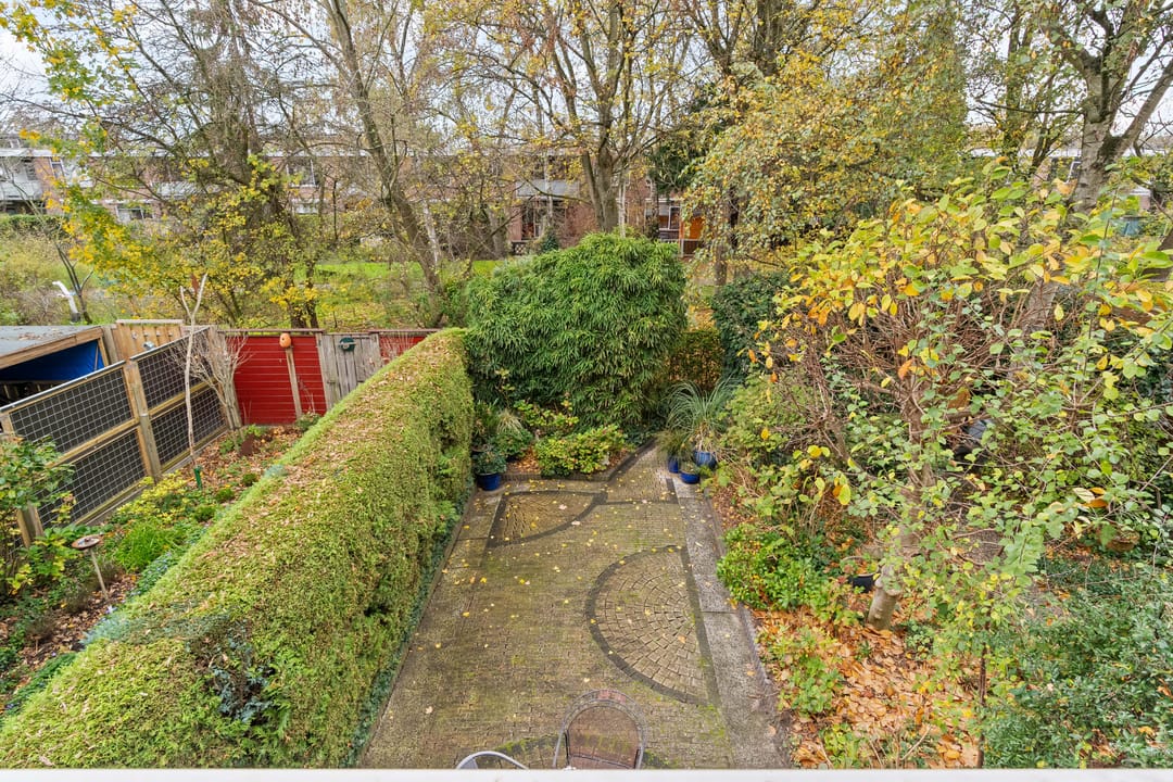 Photo 28 of Akkerdistel 5