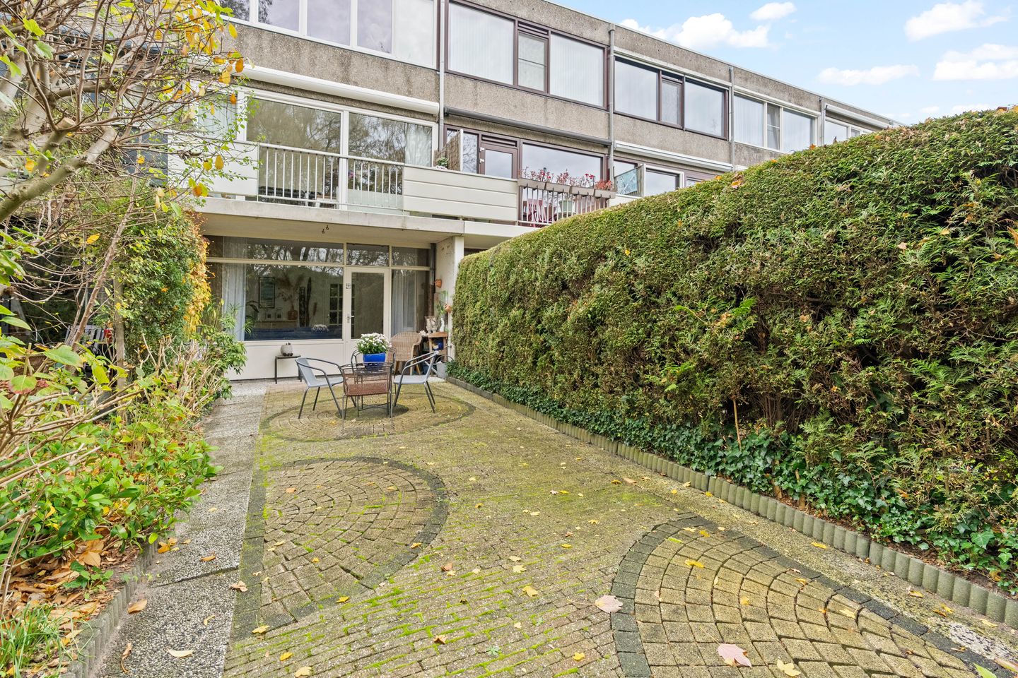 Photo 29 of Akkerdistel 5