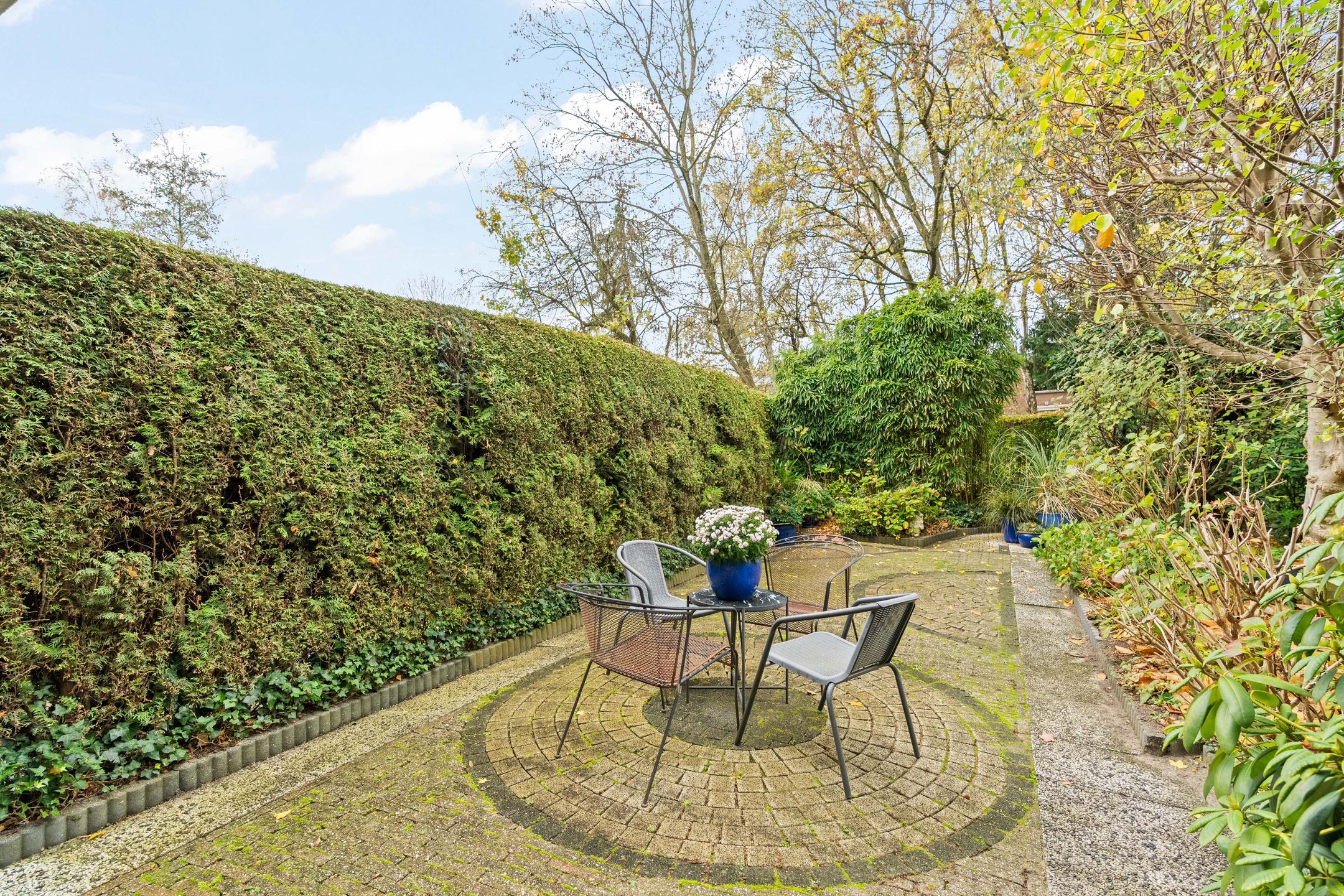 Photo 30 of Akkerdistel 5