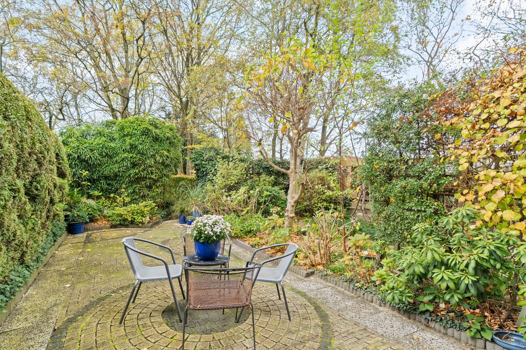 Photo 31 of Akkerdistel 5