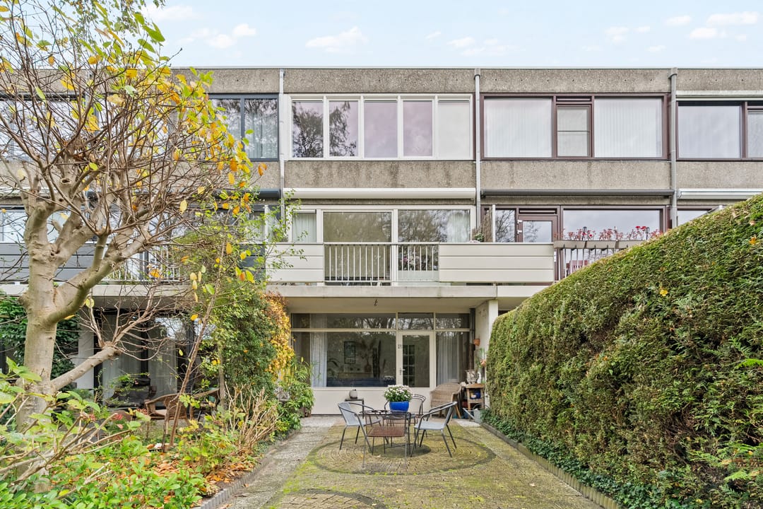 Photo 32 of Akkerdistel 5