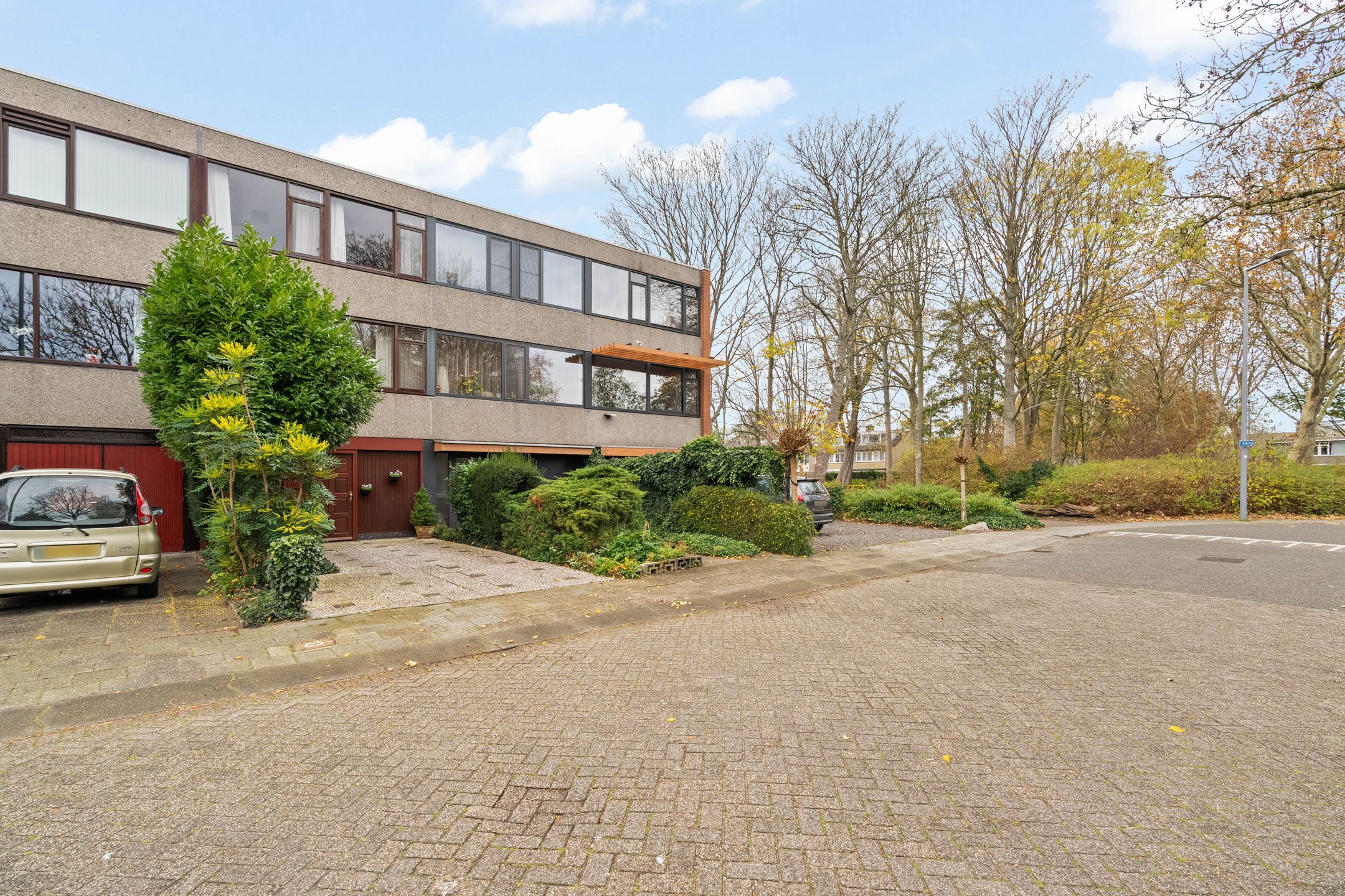 Photo 33 of Akkerdistel 5