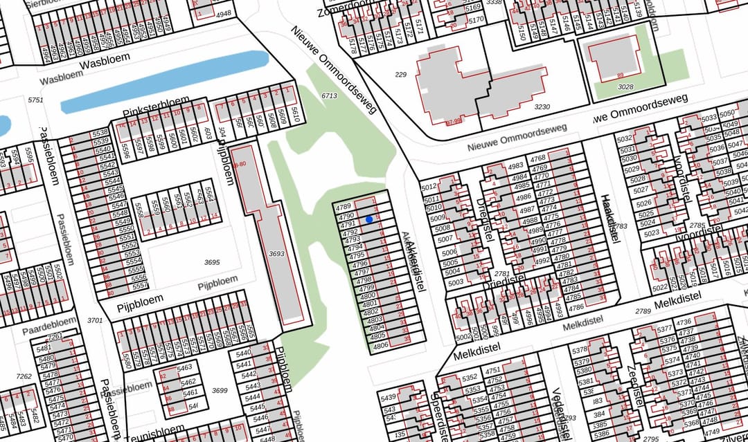 Photo 38 of Akkerdistel 5