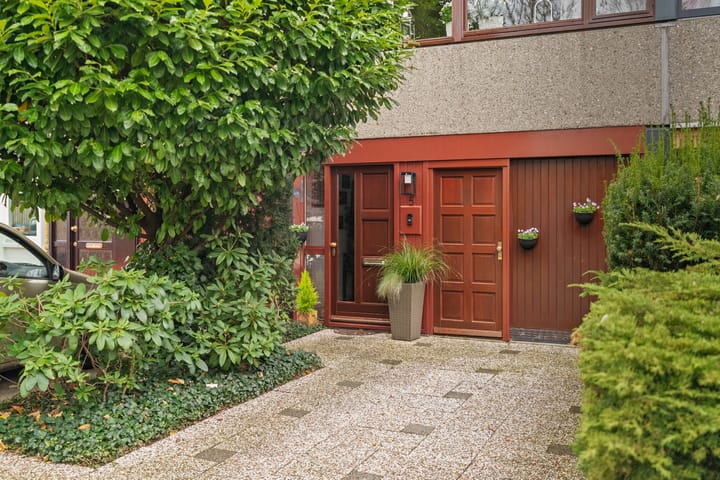 Foto 4 van Akkerdistel 5