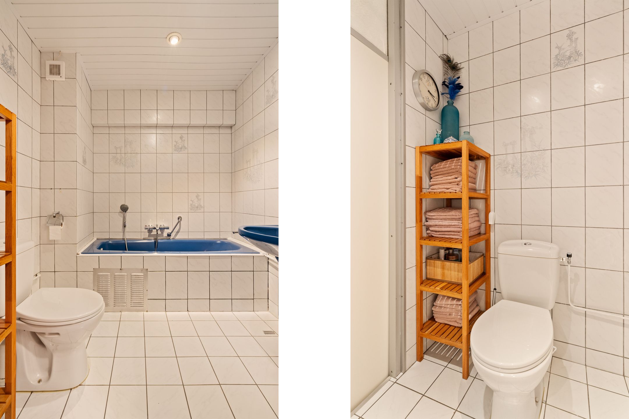 Photo 21 of Akkerdistel 5