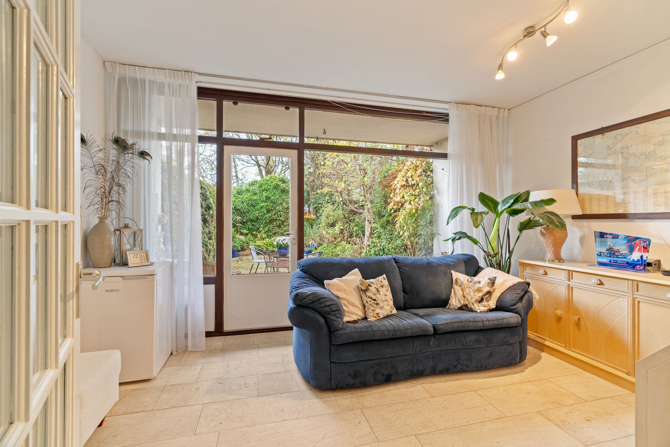 Photo 24 of Akkerdistel 5