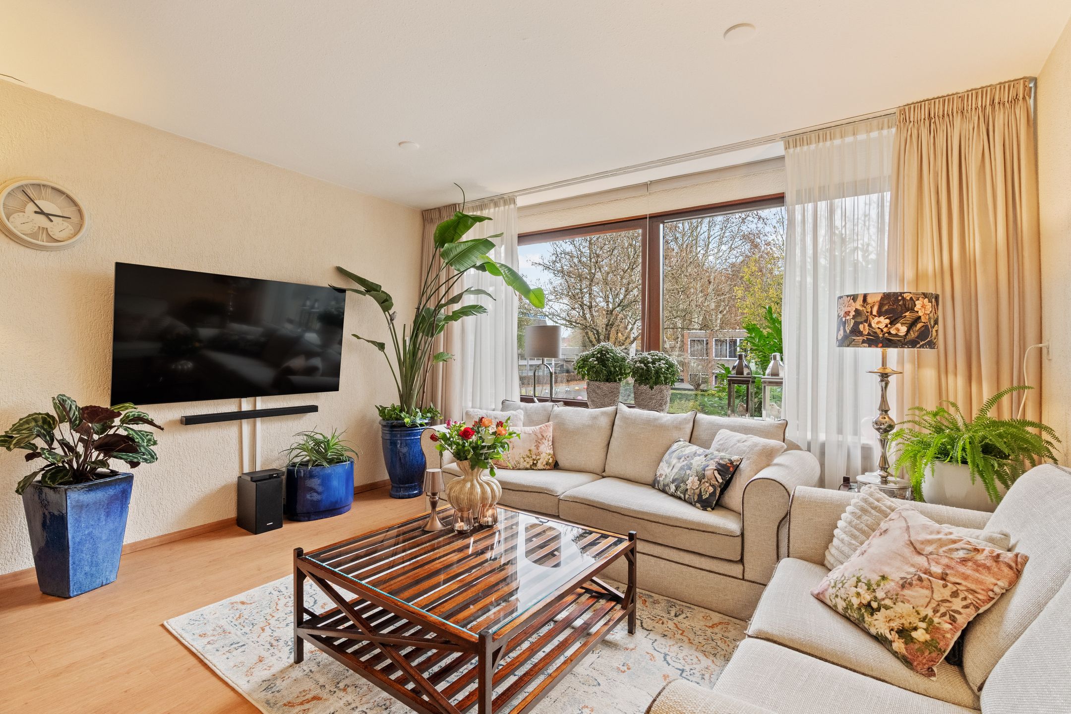 Photo 6 of Akkerdistel 5