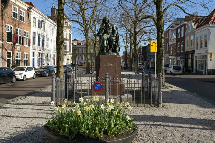 Foto 28 van Spinozastraat 44