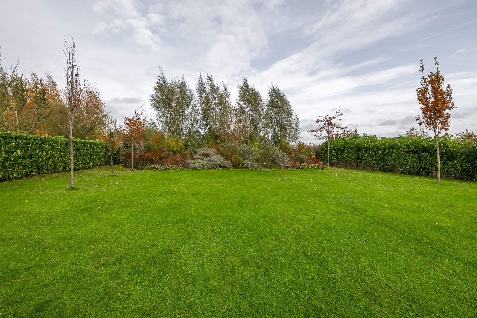 Foto 39 van Iepenlaan 26-A