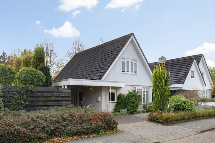 Foto 4 van Gieteling 40