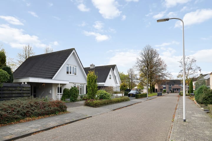 Foto 45 van Gieteling 40