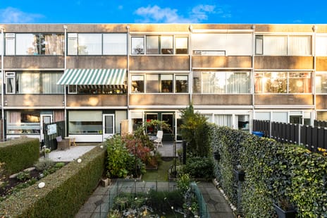 Bolkruid 197 secondary image