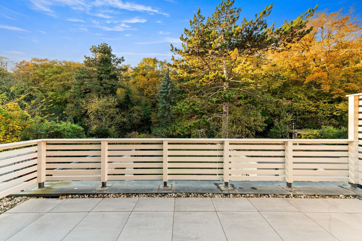 Foto 50 van Waalsdorperweg 26