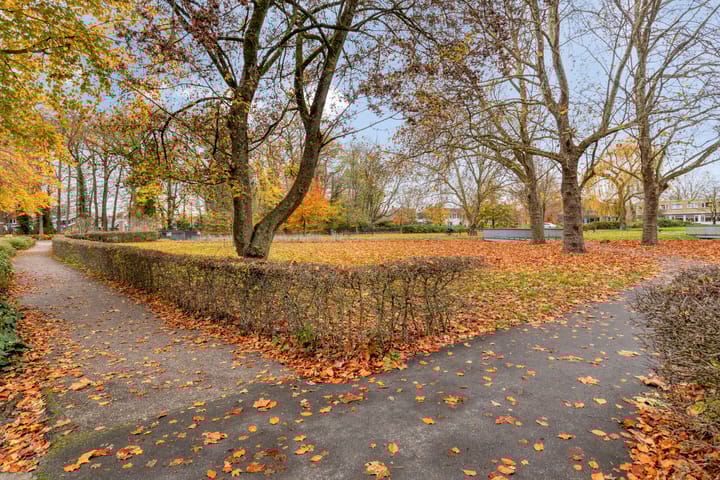 Photo 23 of Willem Alexanderhof 10