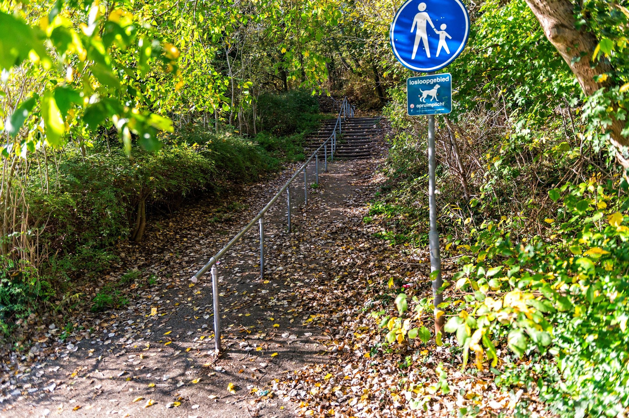 Foto 78 van Waalsdorperweg 26