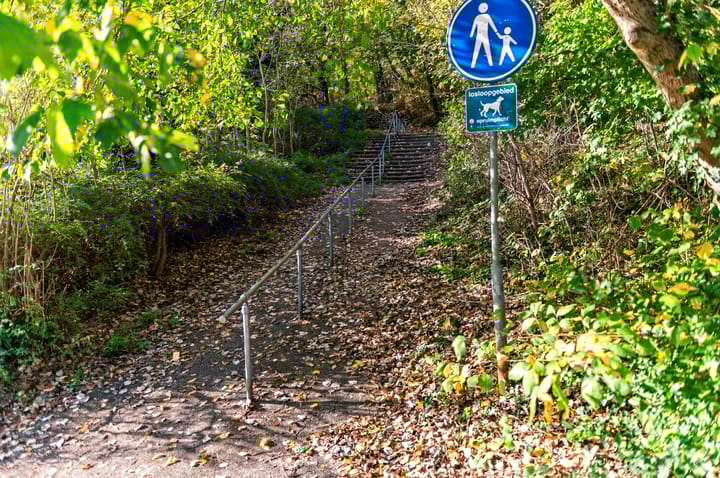 Photo 78 of Waalsdorperweg 26