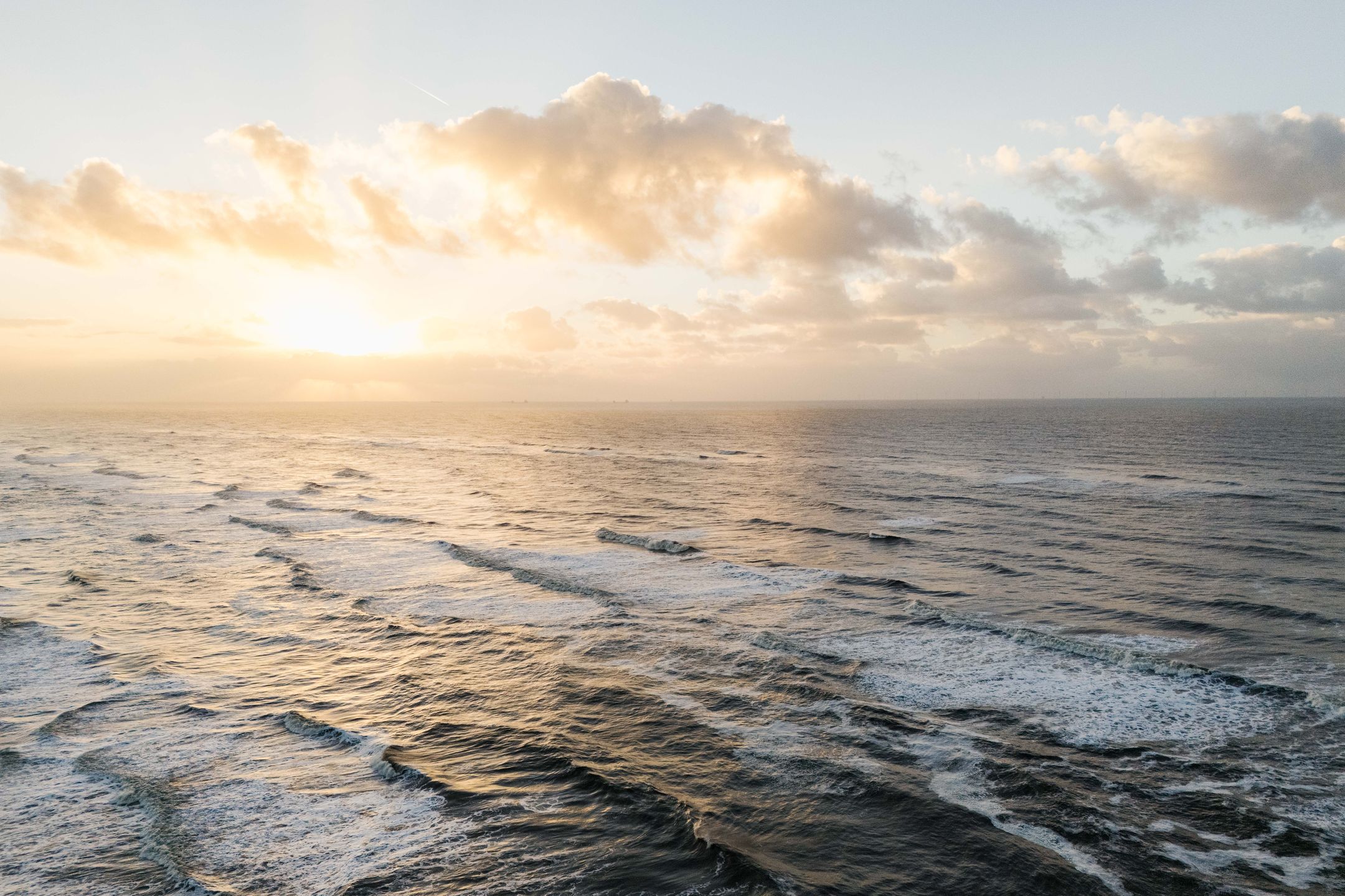 Photo 33 of Parallel Boulevard 278