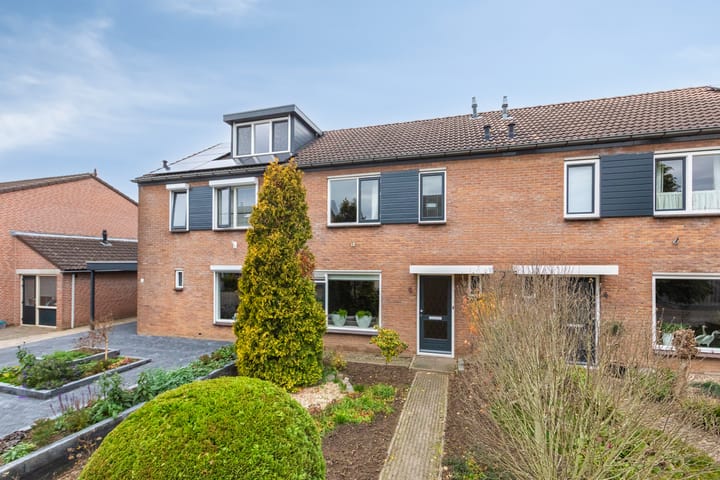 Angeroyen 6 main image