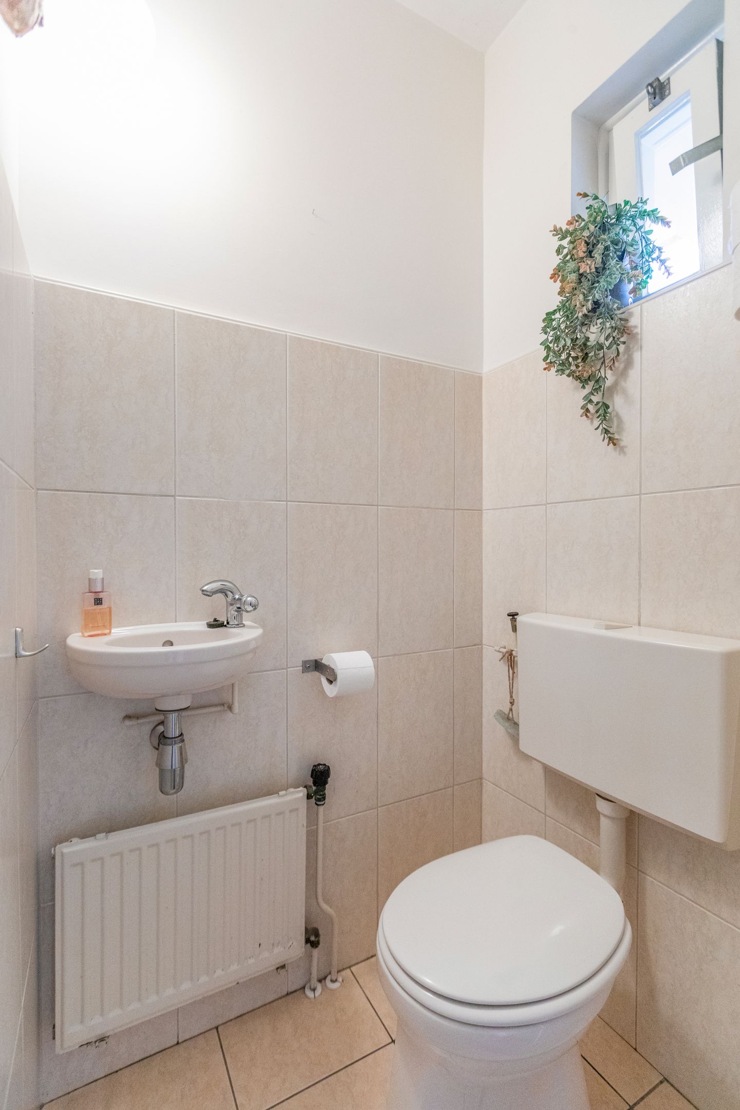 Photo 10 of Angeroyen 6