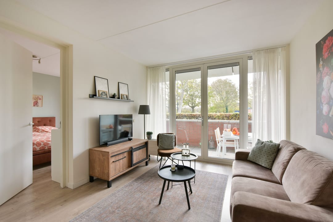 Foto 2 van Rietgans 5