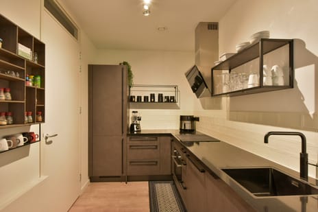 Rietgans 5 tertiary image