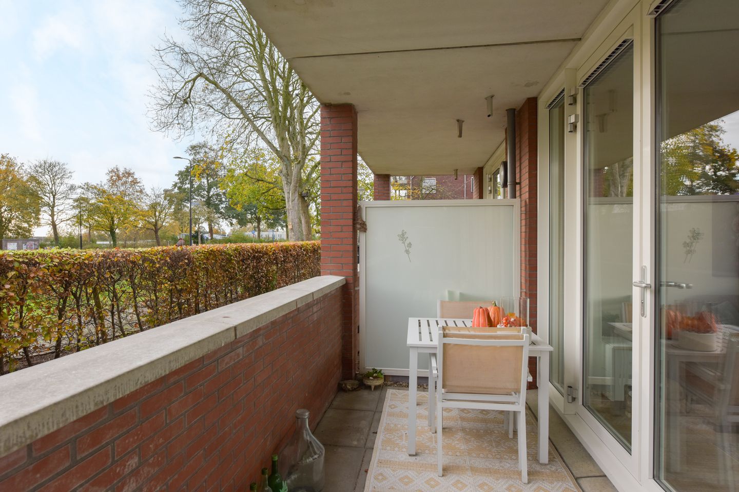 Foto 4 van Rietgans 5