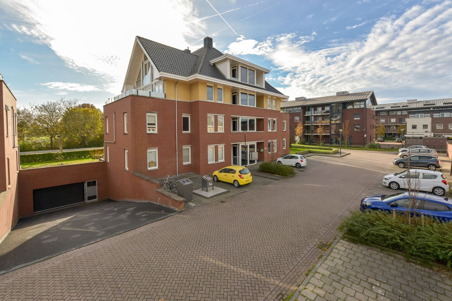 Foto 5 van Rietgans 5