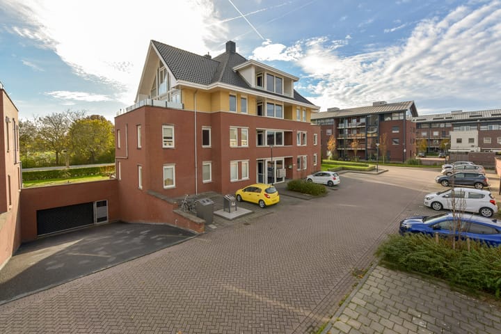 Foto 5 van Rietgans 5