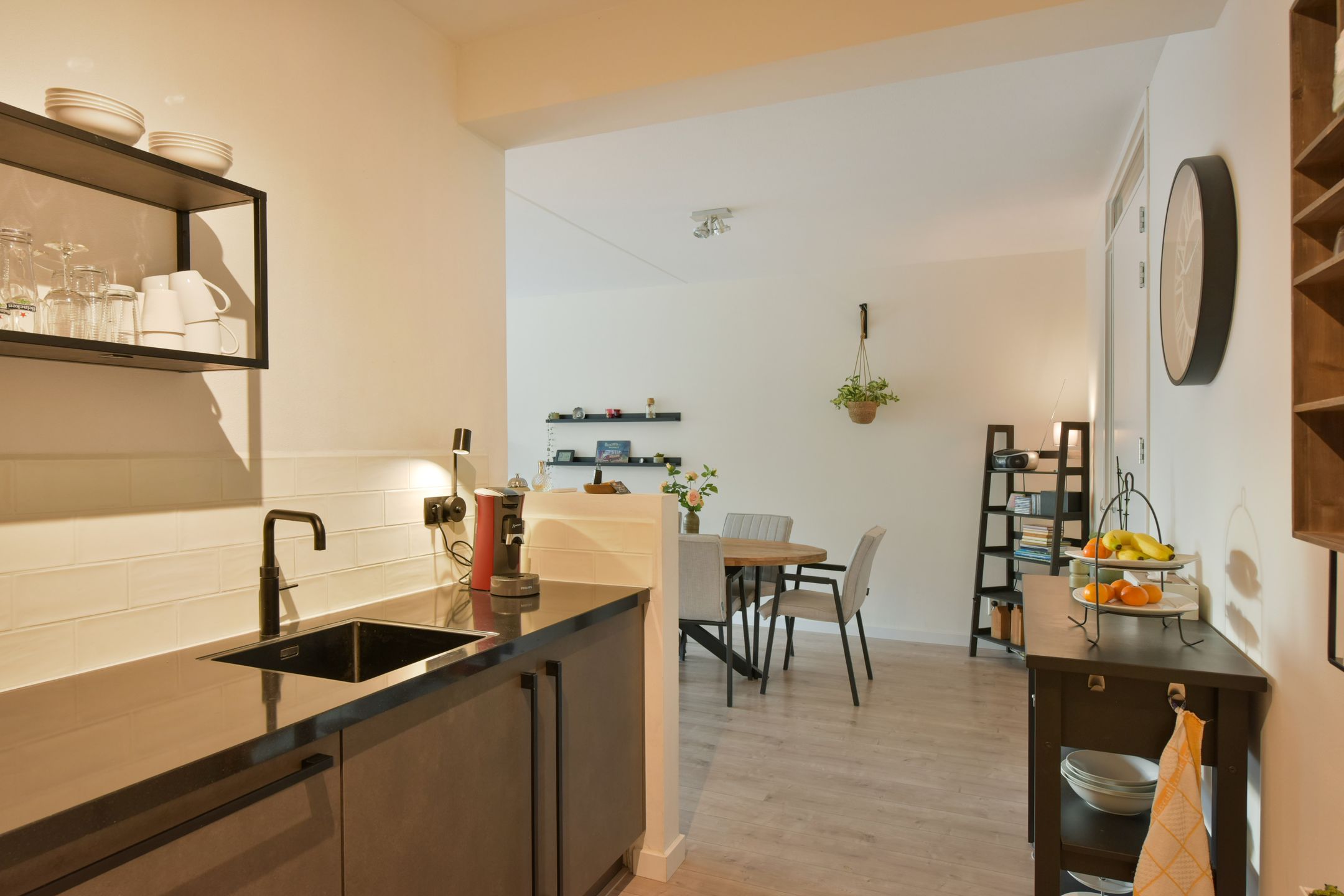 Foto 12 van Rietgans 5