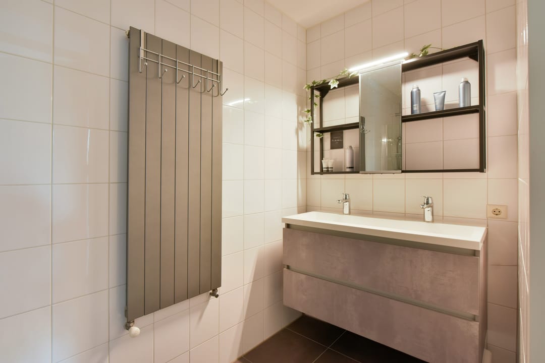 Foto 16 van Rietgans 5