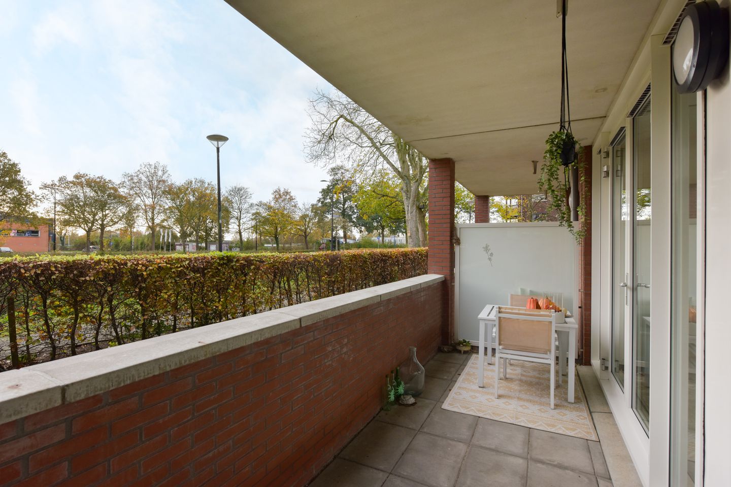 Foto 19 van Rietgans 5