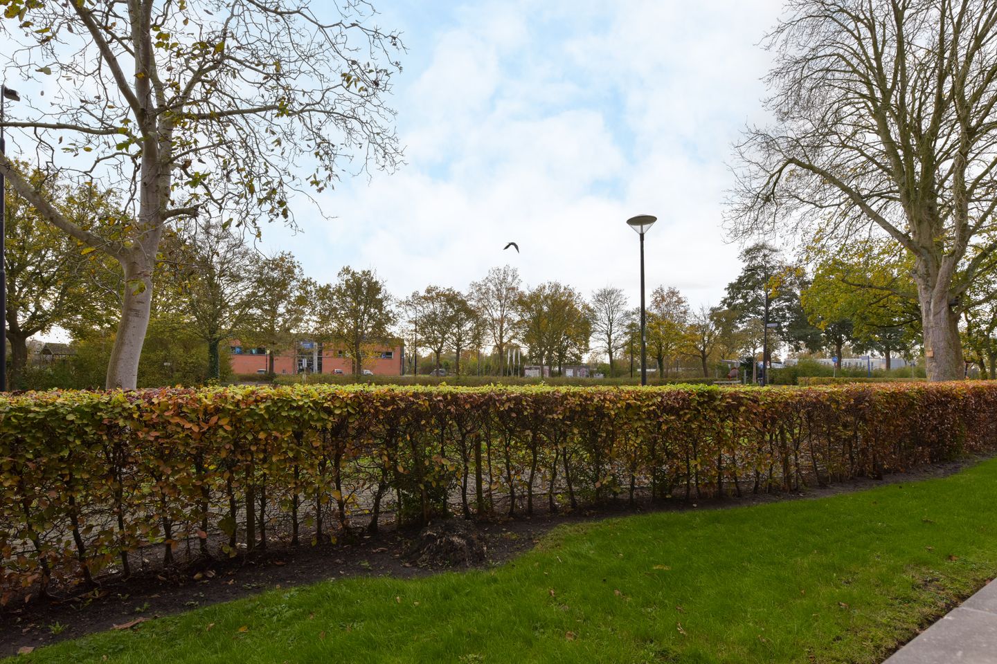 Foto 20 van Rietgans 5