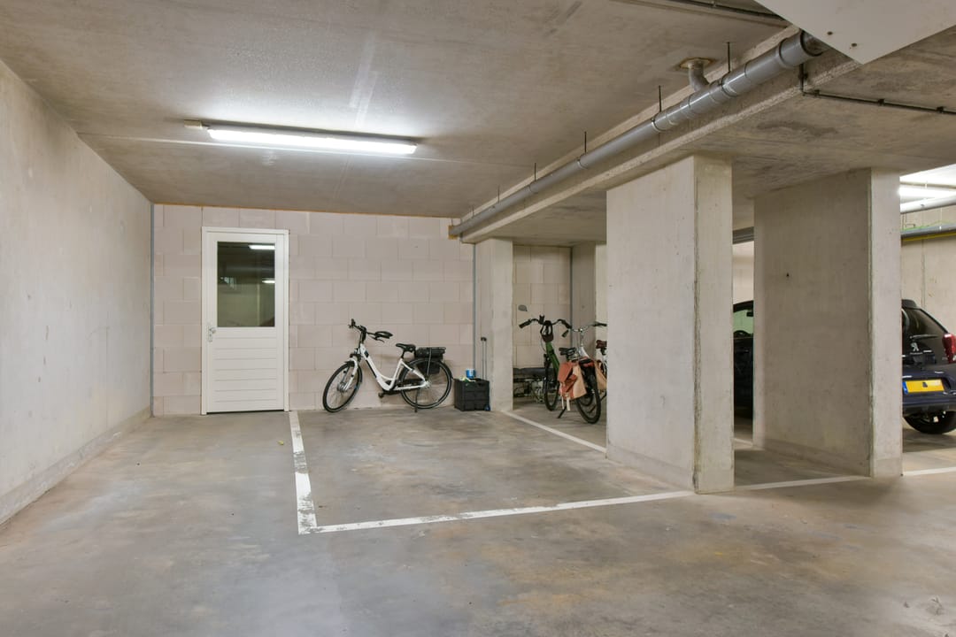 Foto 22 van Rietgans 5