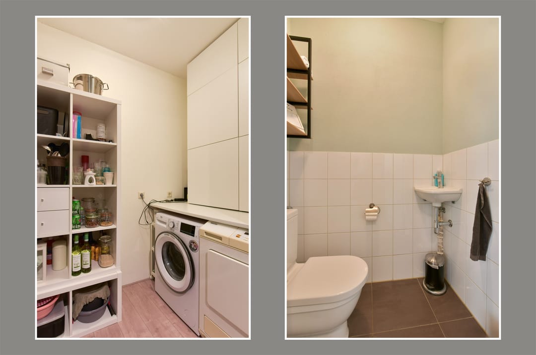 Foto 7 van Rietgans 5