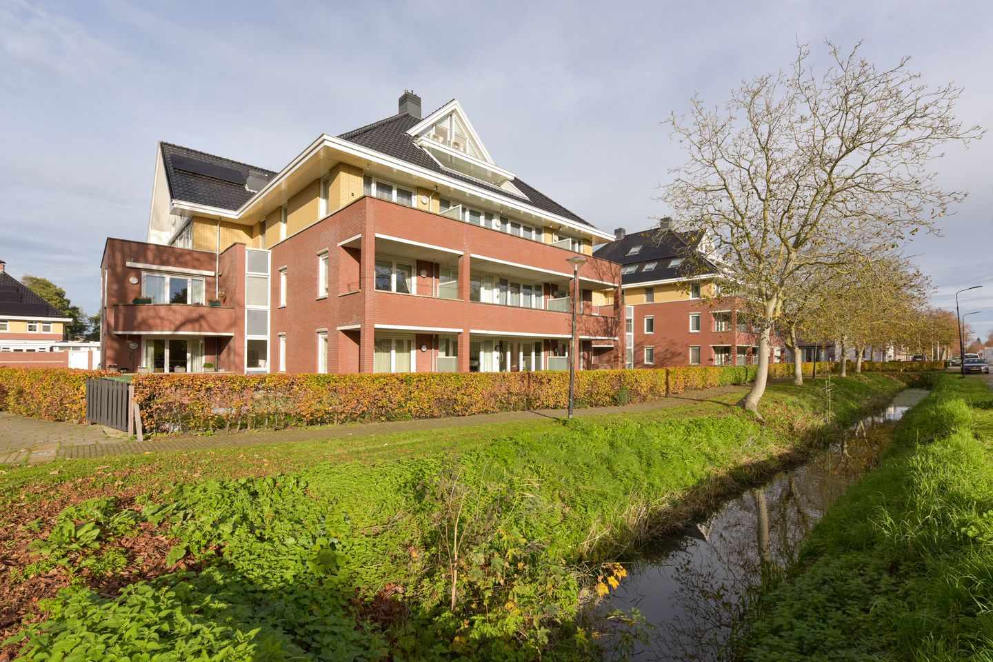 Foto 25 van Rietgans 5