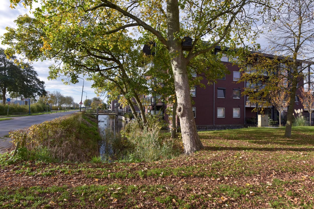 Foto 26 van Rietgans 5