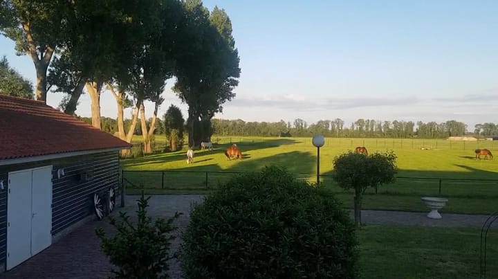 Foto 10 van Schalm 5-A