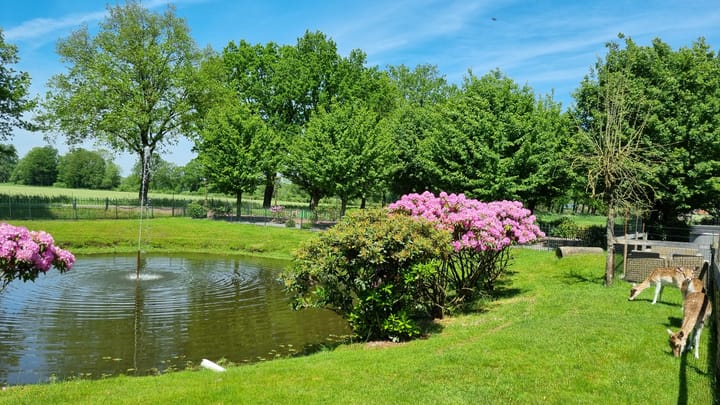 Foto 40 van Schalm 5-A