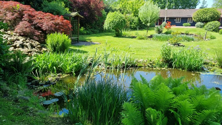 Foto 43 van Schalm 5-A