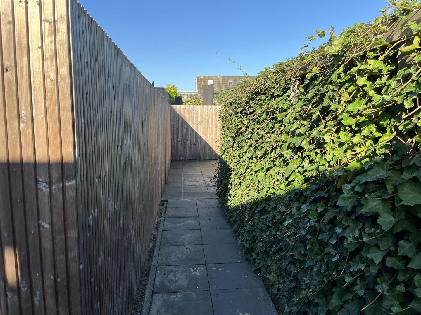 Foto 20 van Steynlaan 36